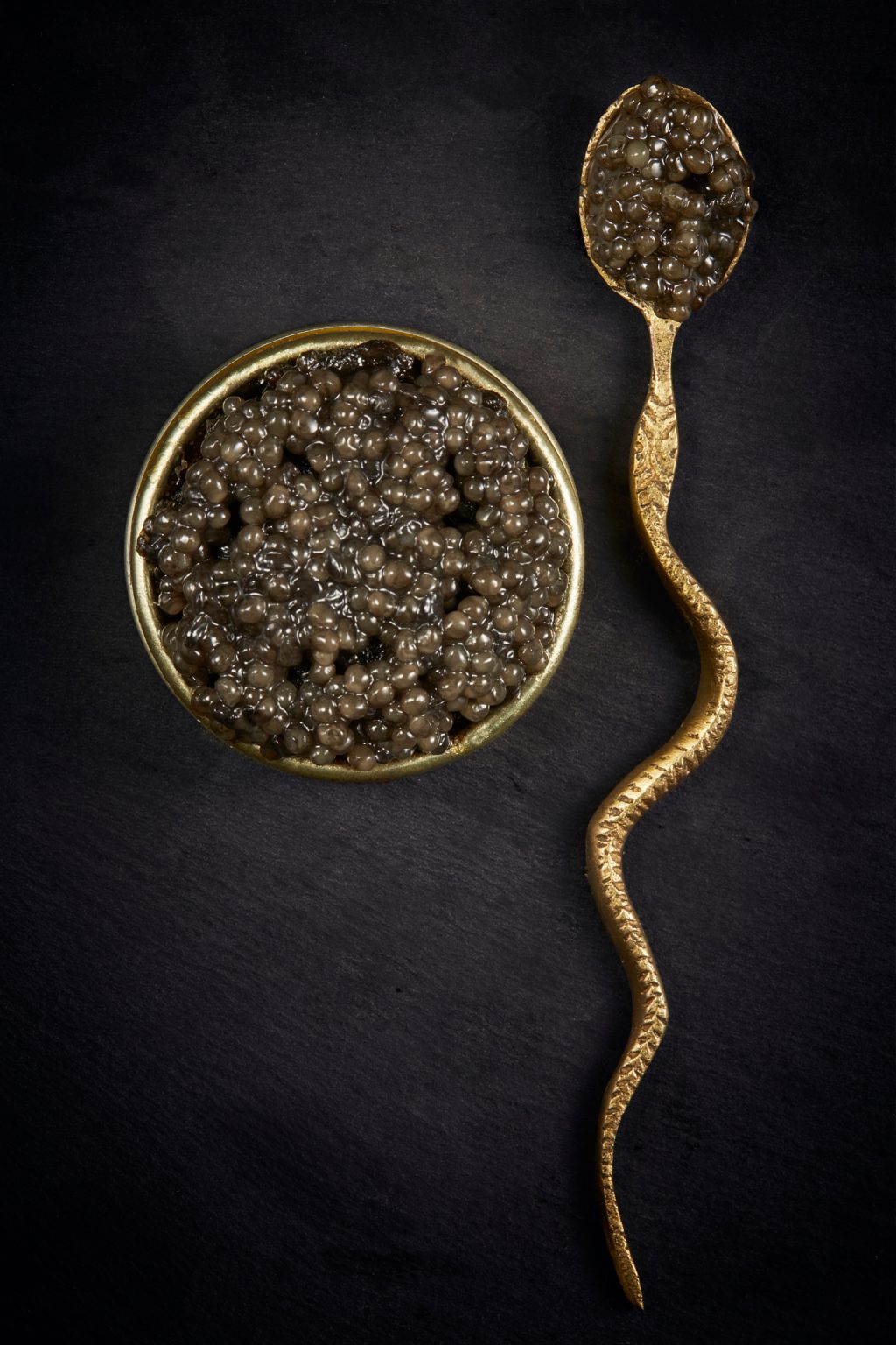 Sepideh-Mazaheri_Food-Photography_016